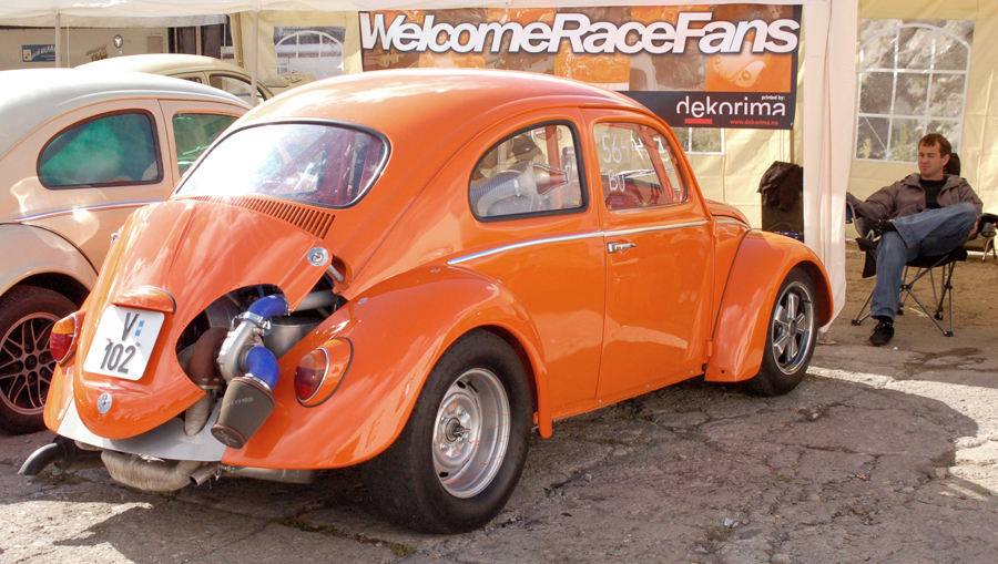 orangebug2